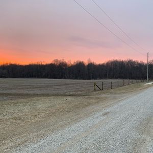 Meet your Posher, Avalon